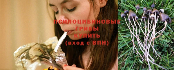 jwh Абаза