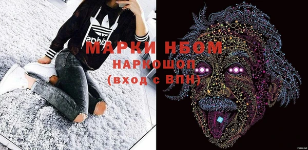 прущие грибы Нягань